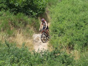 DSCF0549
